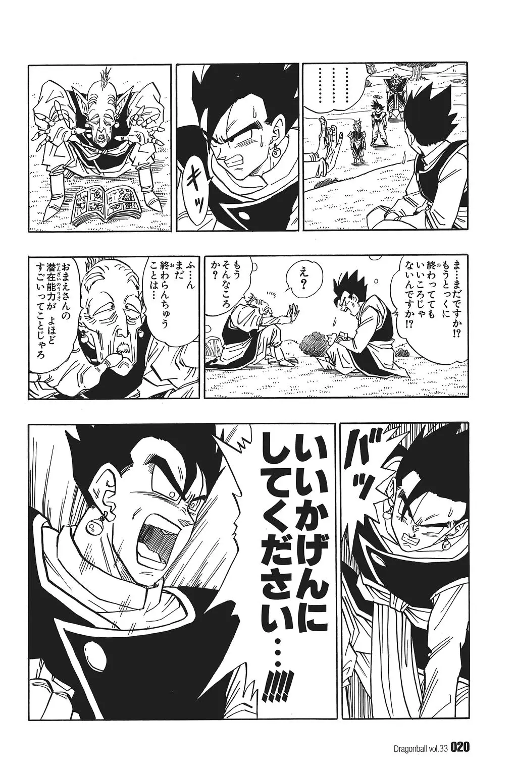 Chapitre 33 — Dragon Ball Kanzenban Vol. 33 — page 25