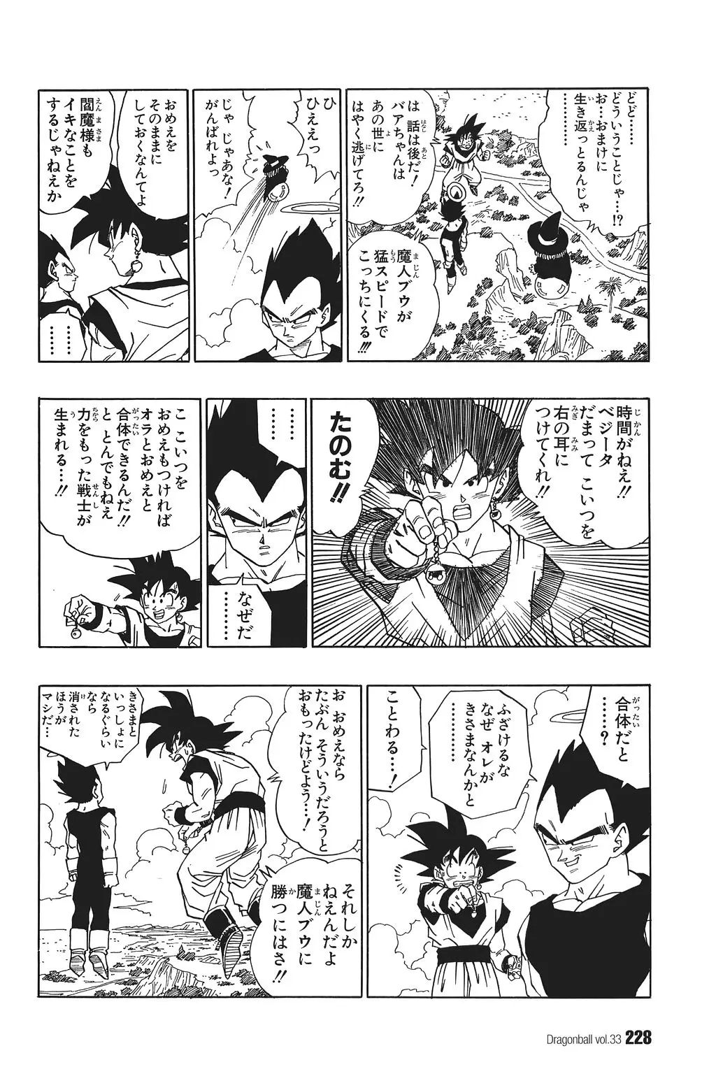 Chapitre 33 — Dragon Ball Kanzenban Vol. 33 — page 233