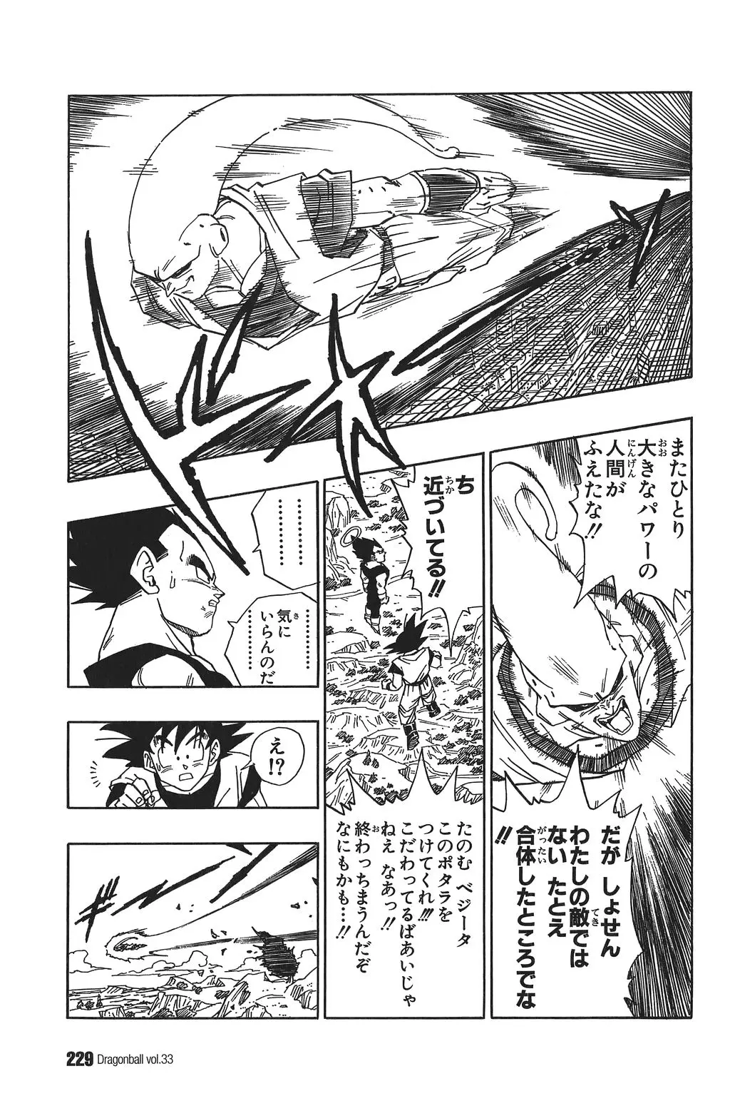 Chapitre 33 — Dragon Ball Kanzenban Vol. 33 — page 234