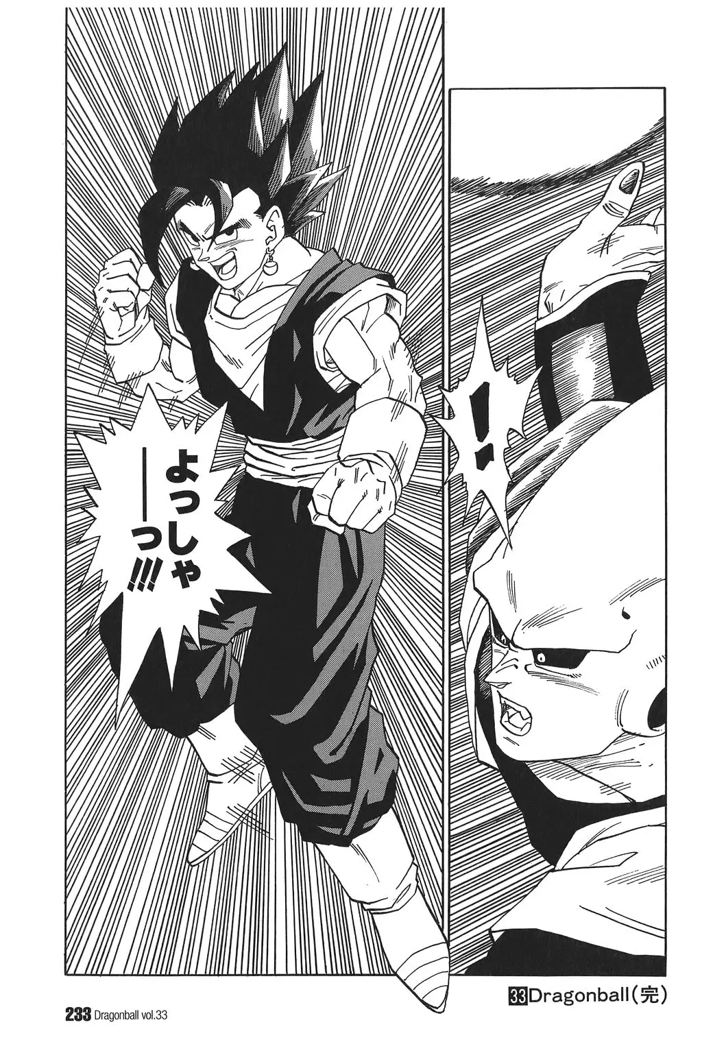 Chapitre 33 — Dragon Ball Kanzenban Vol. 33 — page 238