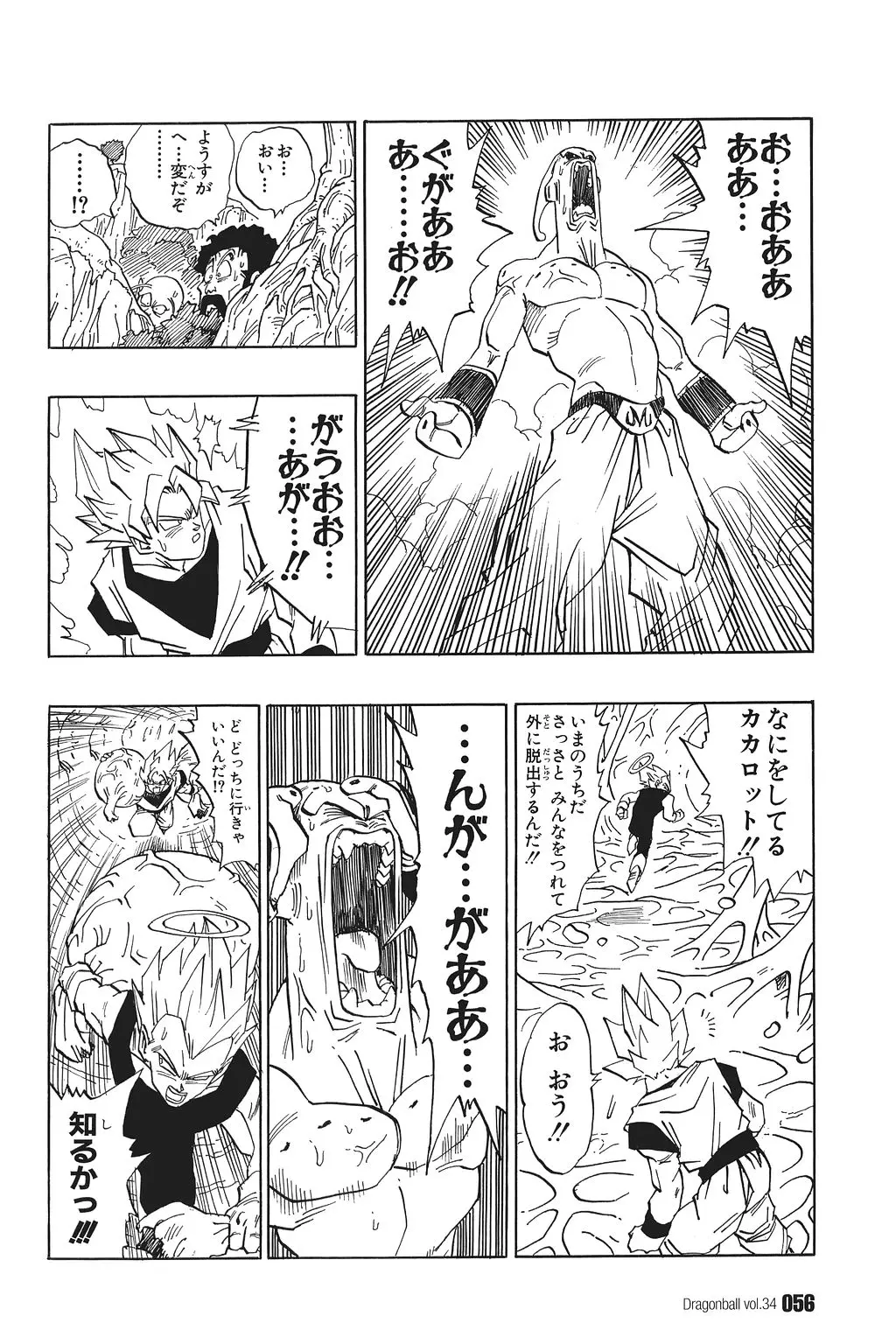 Chapitre 34 — Dragon Ball Kanzenban Vol. 34 — page 61