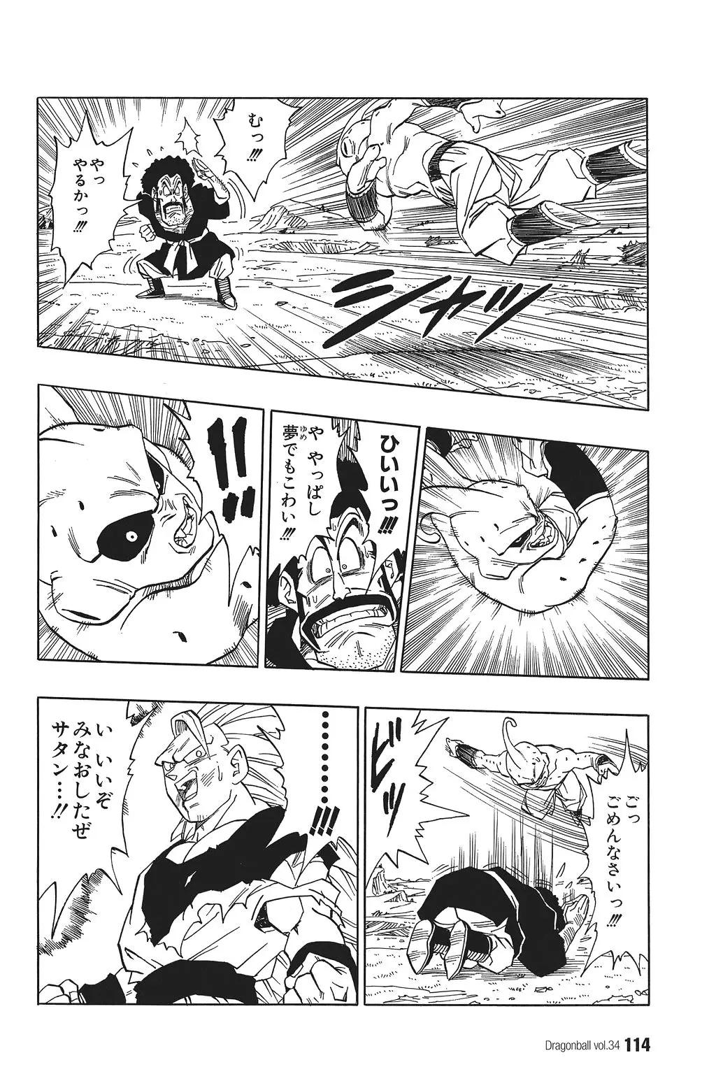 Chapitre 34 — Dragon Ball Kanzenban Vol. 34 — page 119