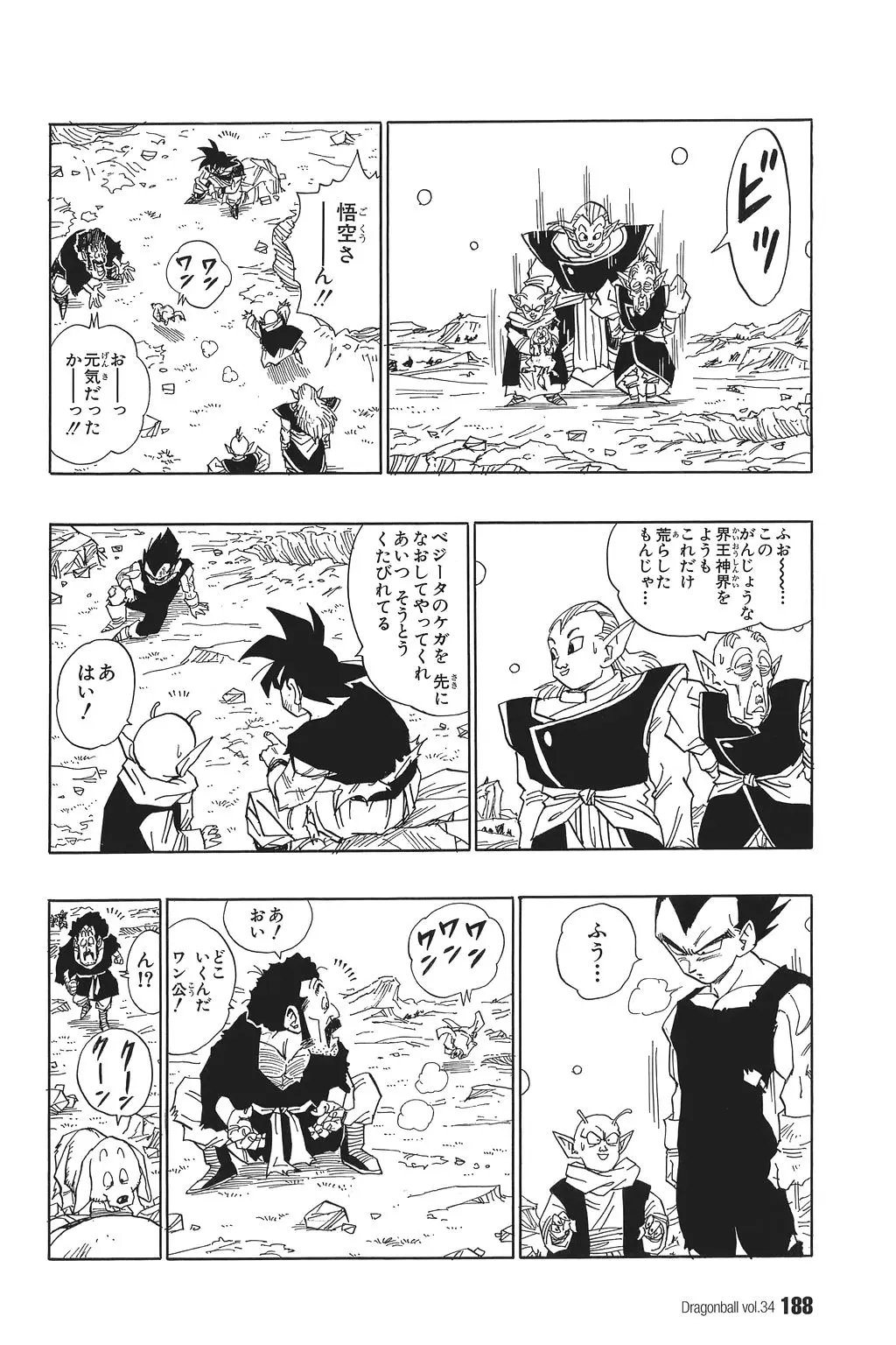 Chapitre 34 — Dragon Ball Kanzenban Vol. 34 — page 193