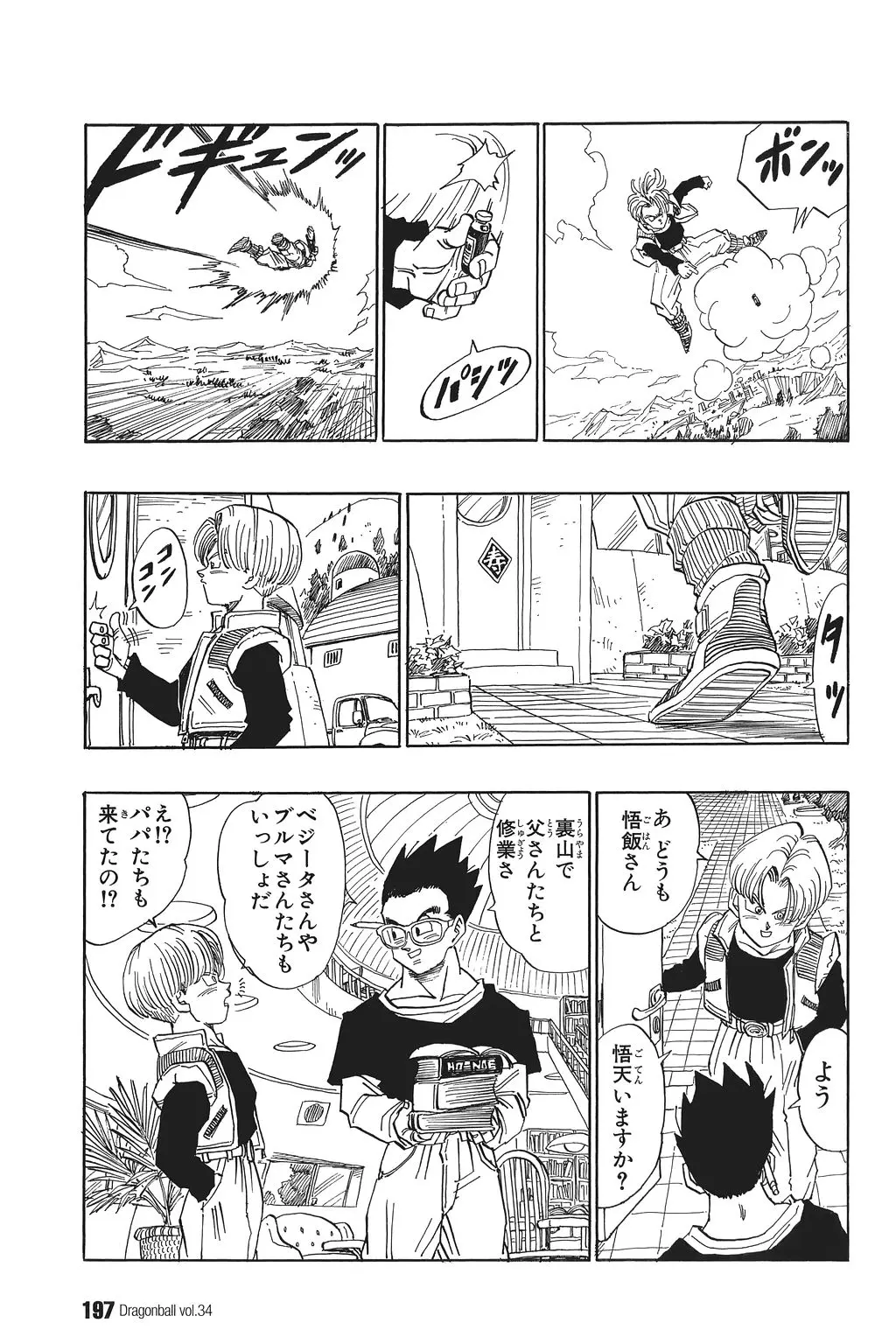Chapitre 34 — Dragon Ball Kanzenban Vol. 34 — page 202