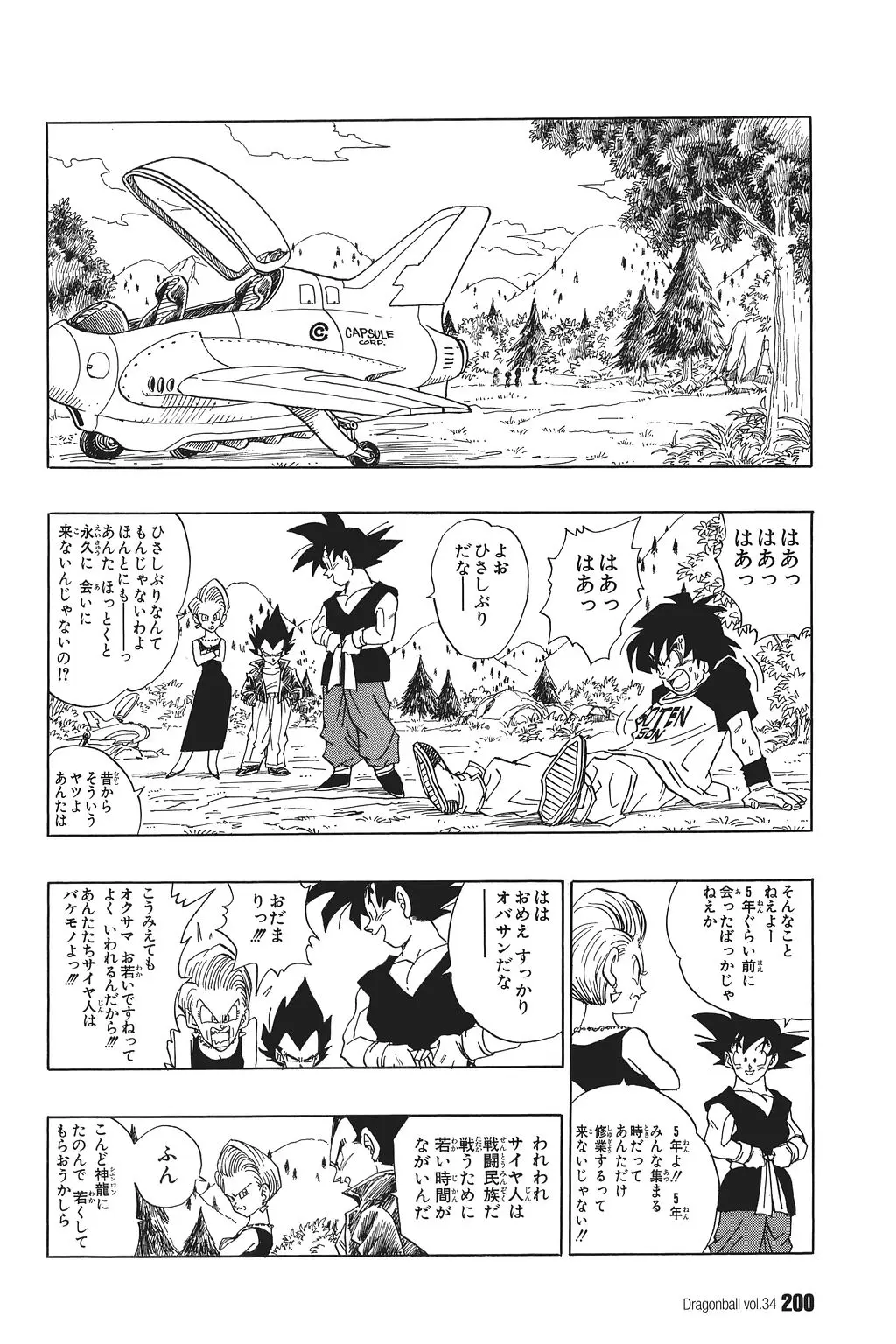 Chapitre 34 — Dragon Ball Kanzenban Vol. 34 — page 205