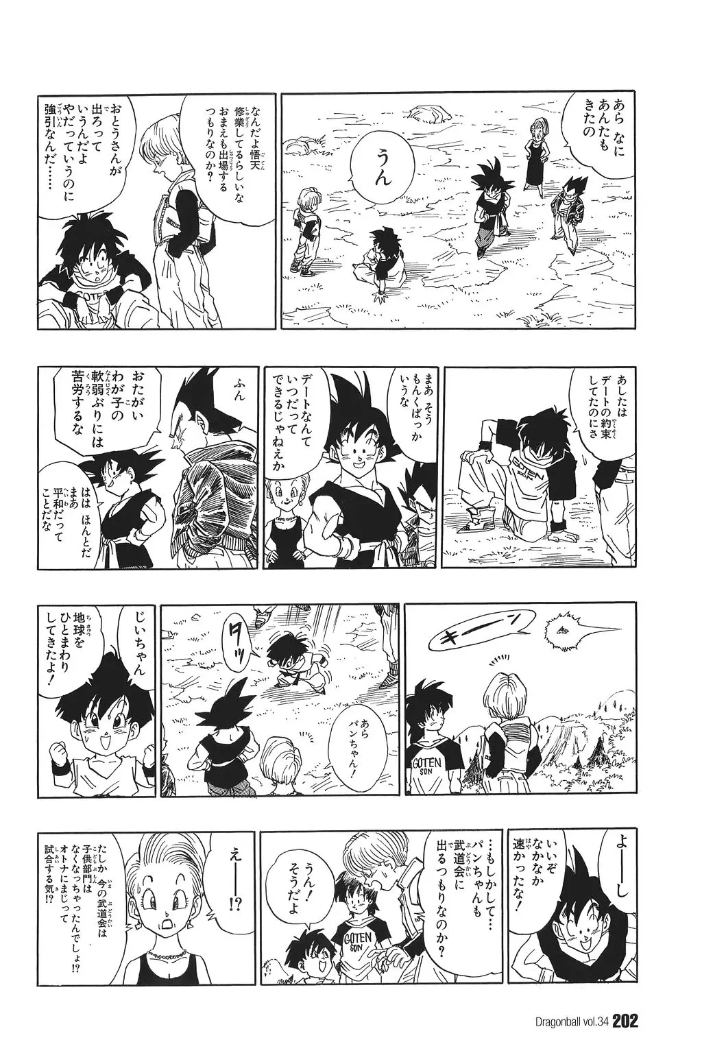 Chapitre 34 — Dragon Ball Kanzenban Vol. 34 — page 207