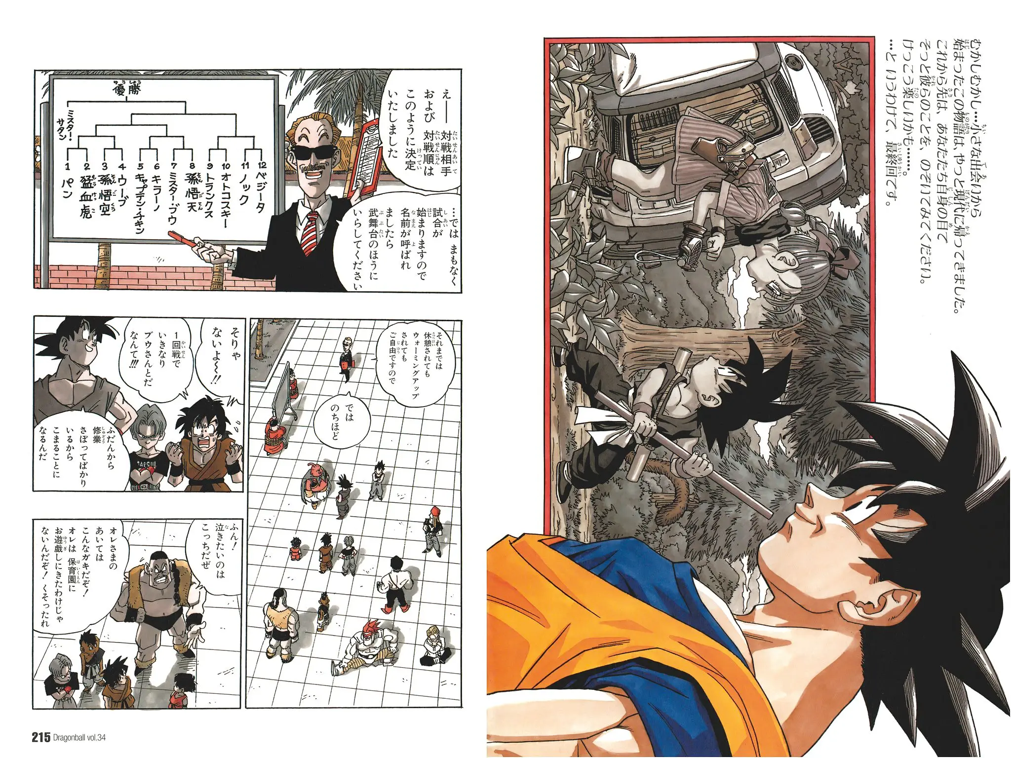 Chapitre 34 — Dragon Ball Kanzenban Vol. 34 — page 219
