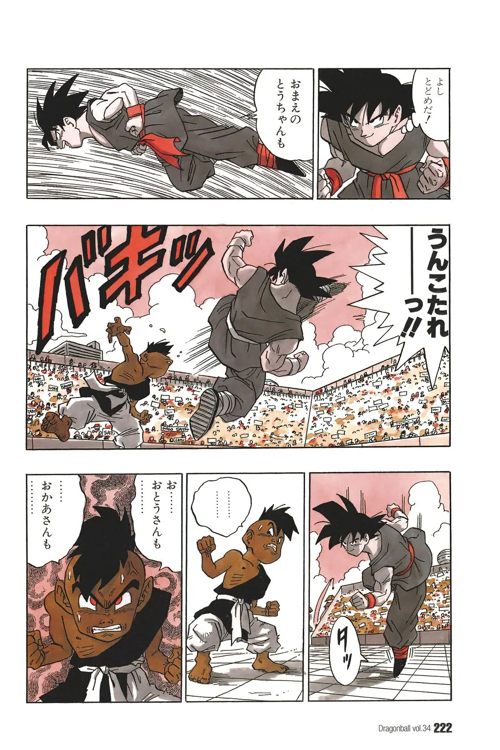 Chapitre 34 — Dragon Ball Kanzenban Vol. 34 — page 226
