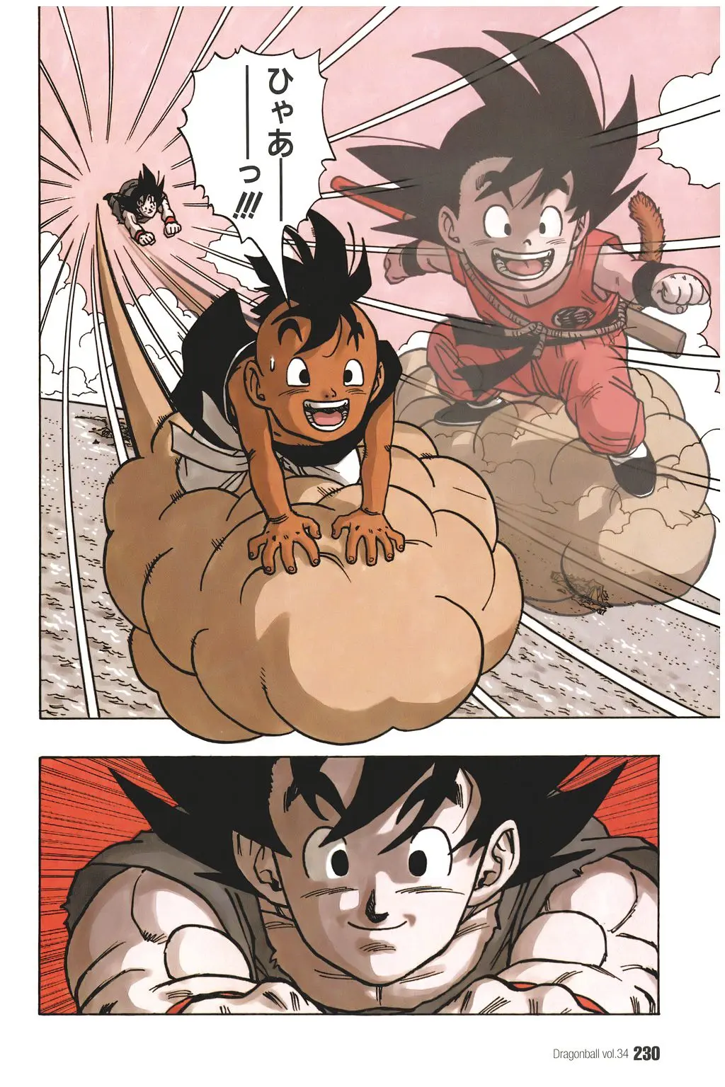 Chapitre 34 — Dragon Ball Kanzenban Vol. 34 — page 234