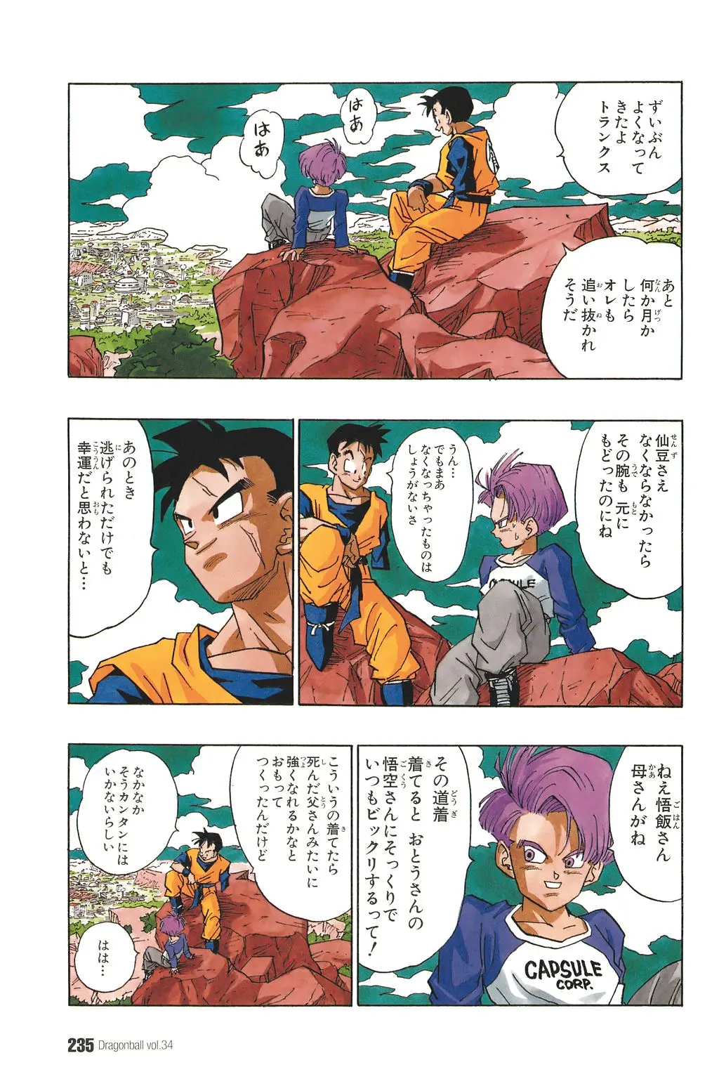 Chapitre 34 — Dragon Ball Kanzenban Vol. 34 — page 239
