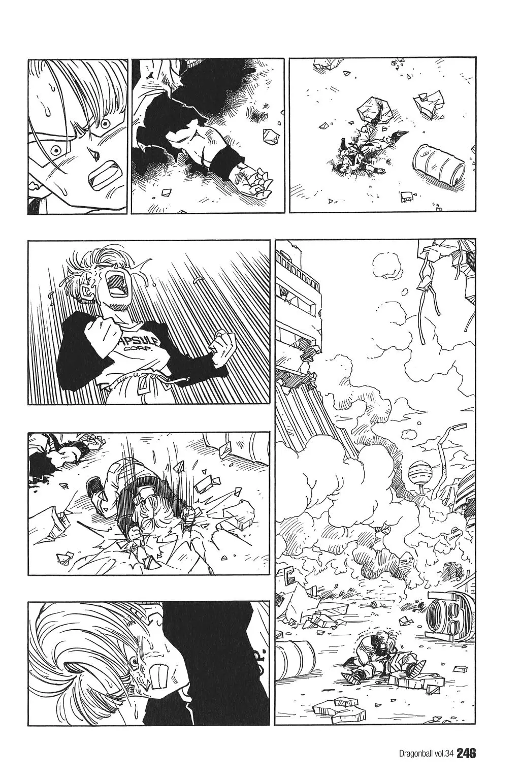 Chapitre 34 — Dragon Ball Kanzenban Vol. 34 — page 250