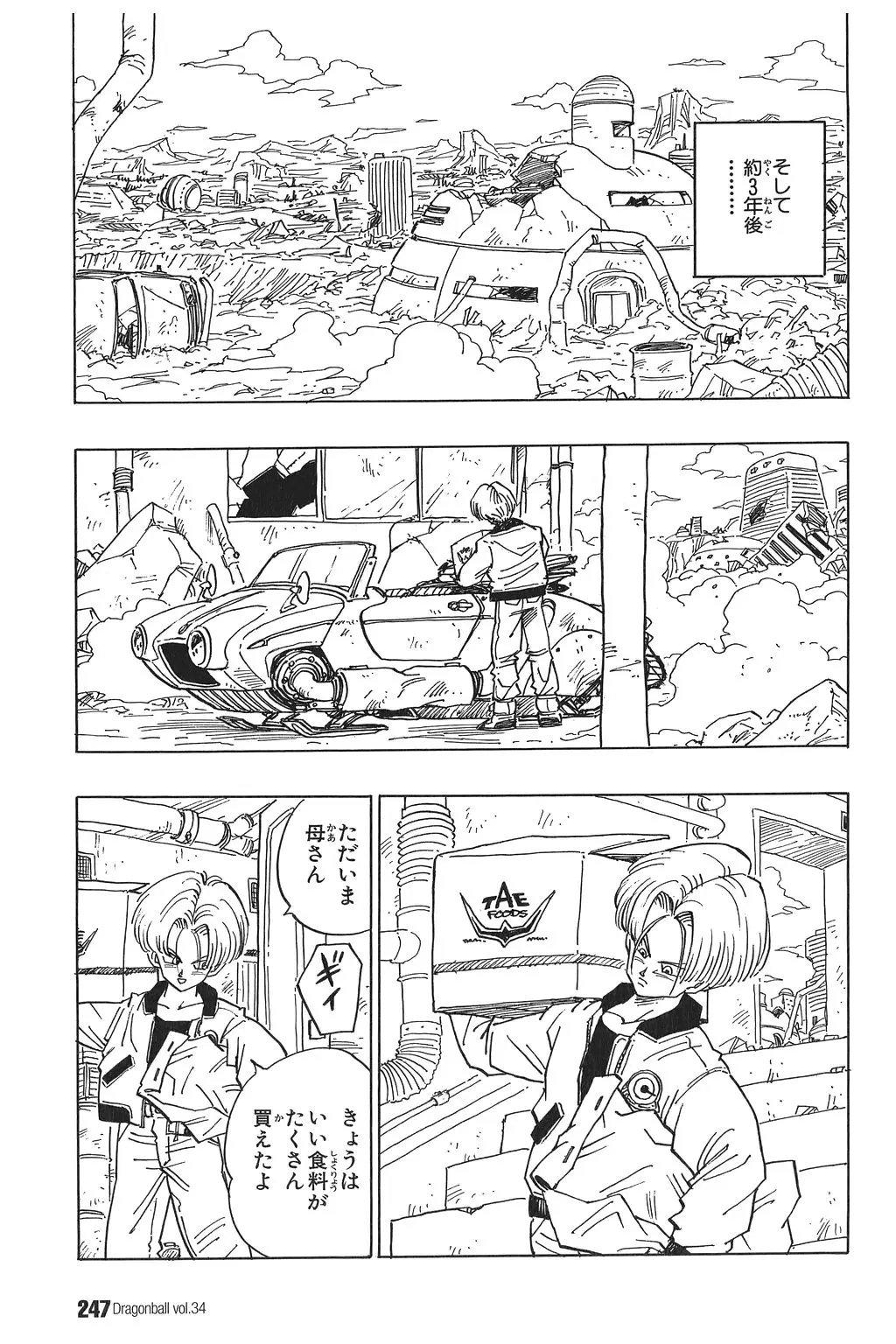 Chapitre 34 — Dragon Ball Kanzenban Vol. 34 — page 251