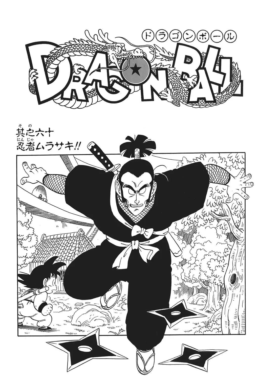 Chapitre 5 — Dragon Ball Kanzenban Vol. 5 — page 10