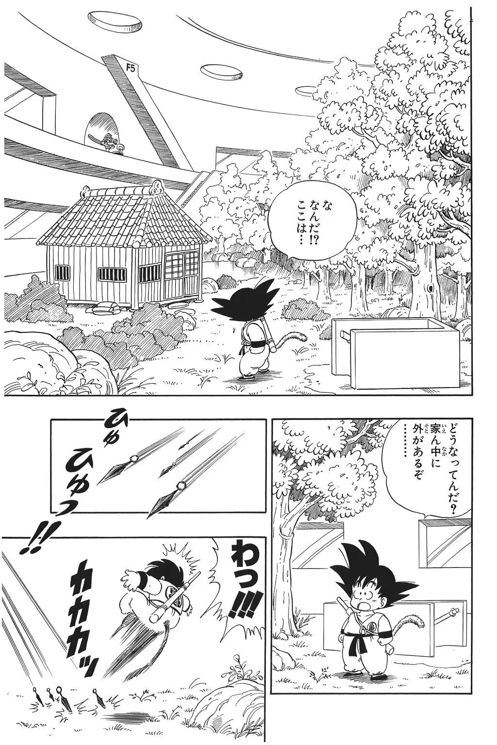 Chapitre 5 — Dragon Ball Kanzenban Vol. 5 — page 12