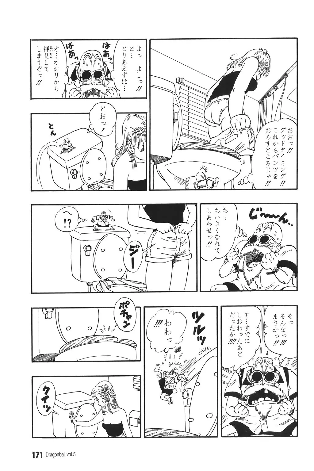 Chapitre 5 — Dragon Ball Kanzenban Vol. 5 — page 176