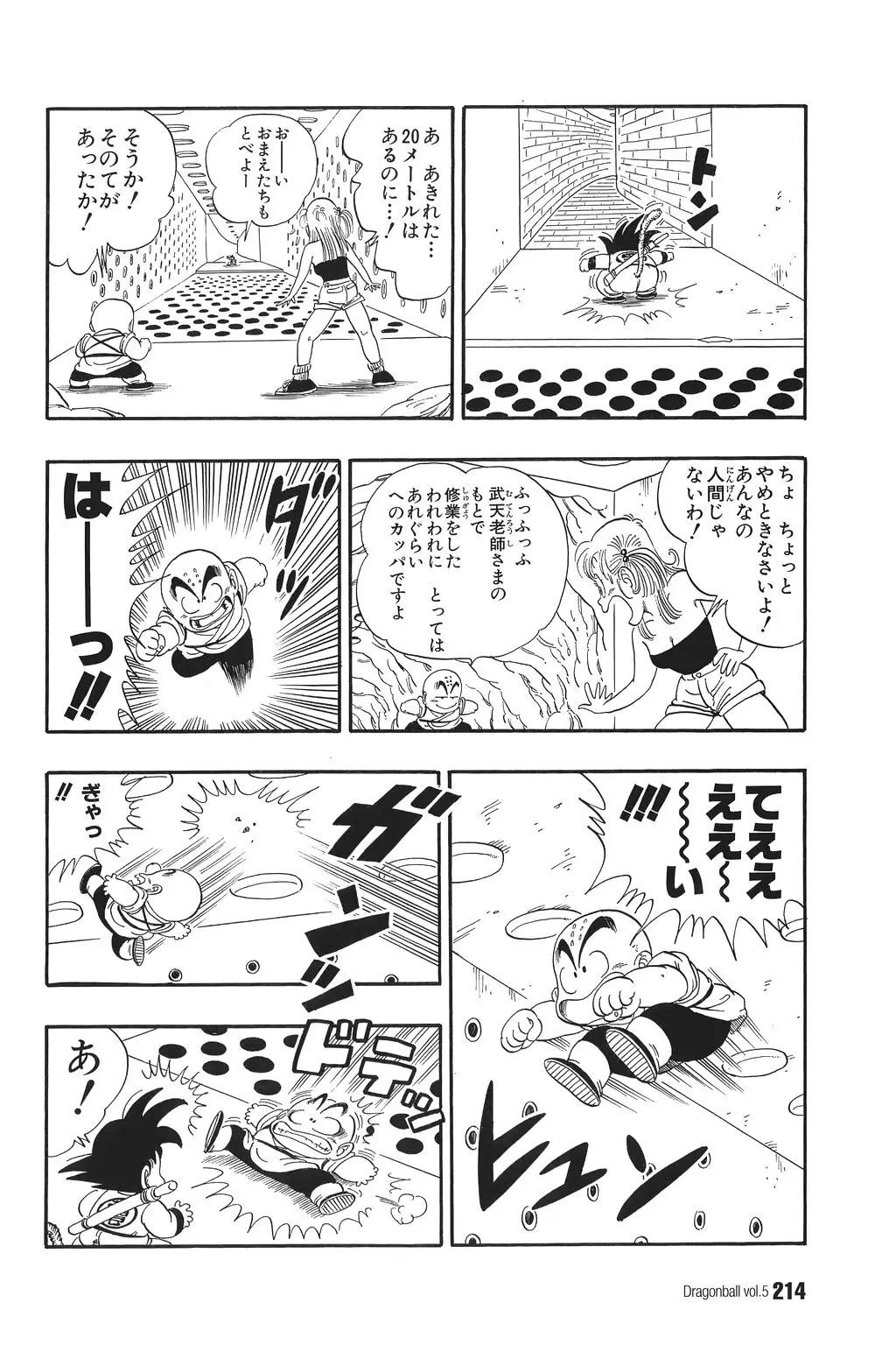 Chapitre 5 — Dragon Ball Kanzenban Vol. 5 — page 219