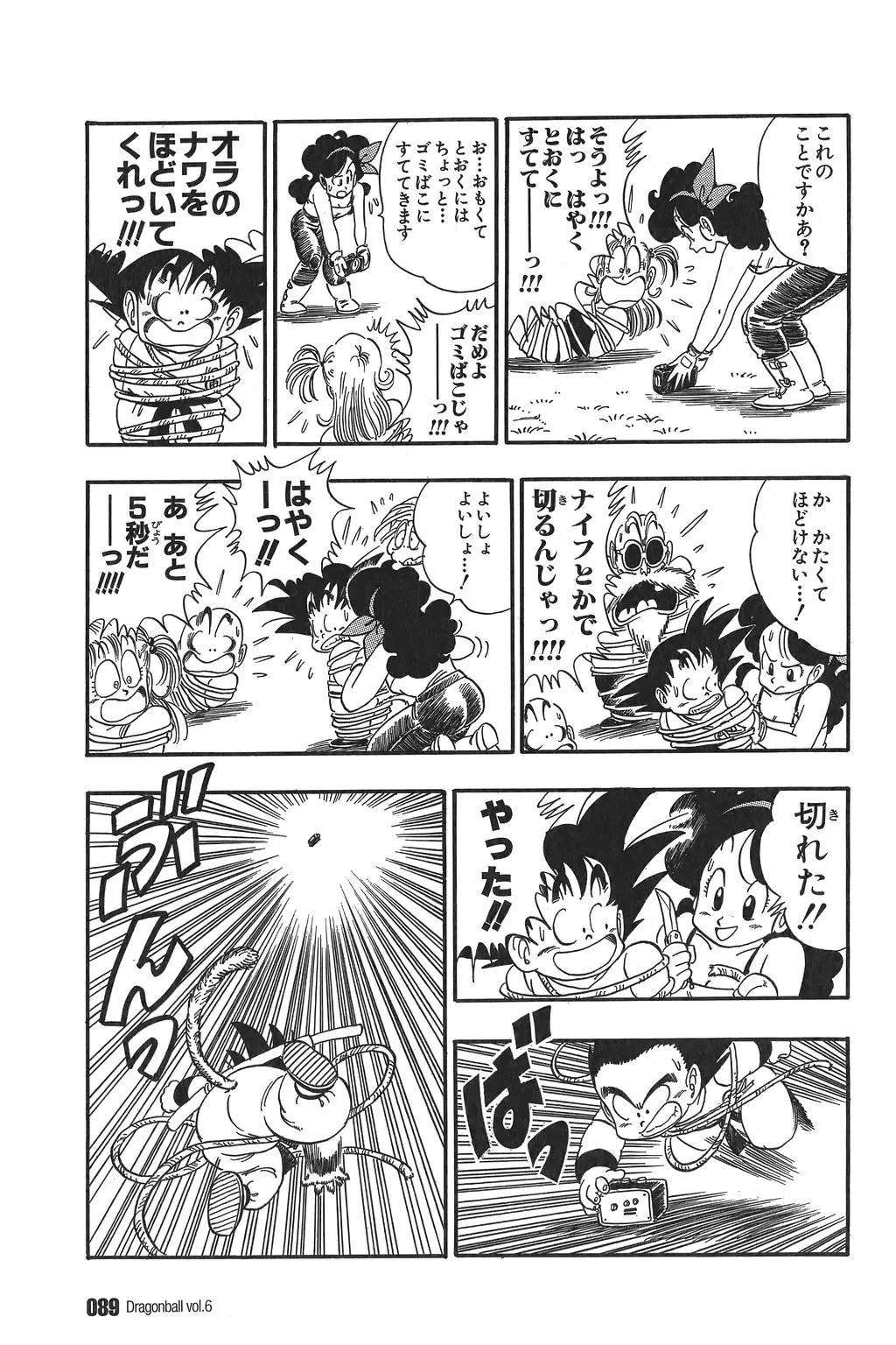 Chapitre 6 — Dragon Ball Kanzenban Vol. 6 — page 94
