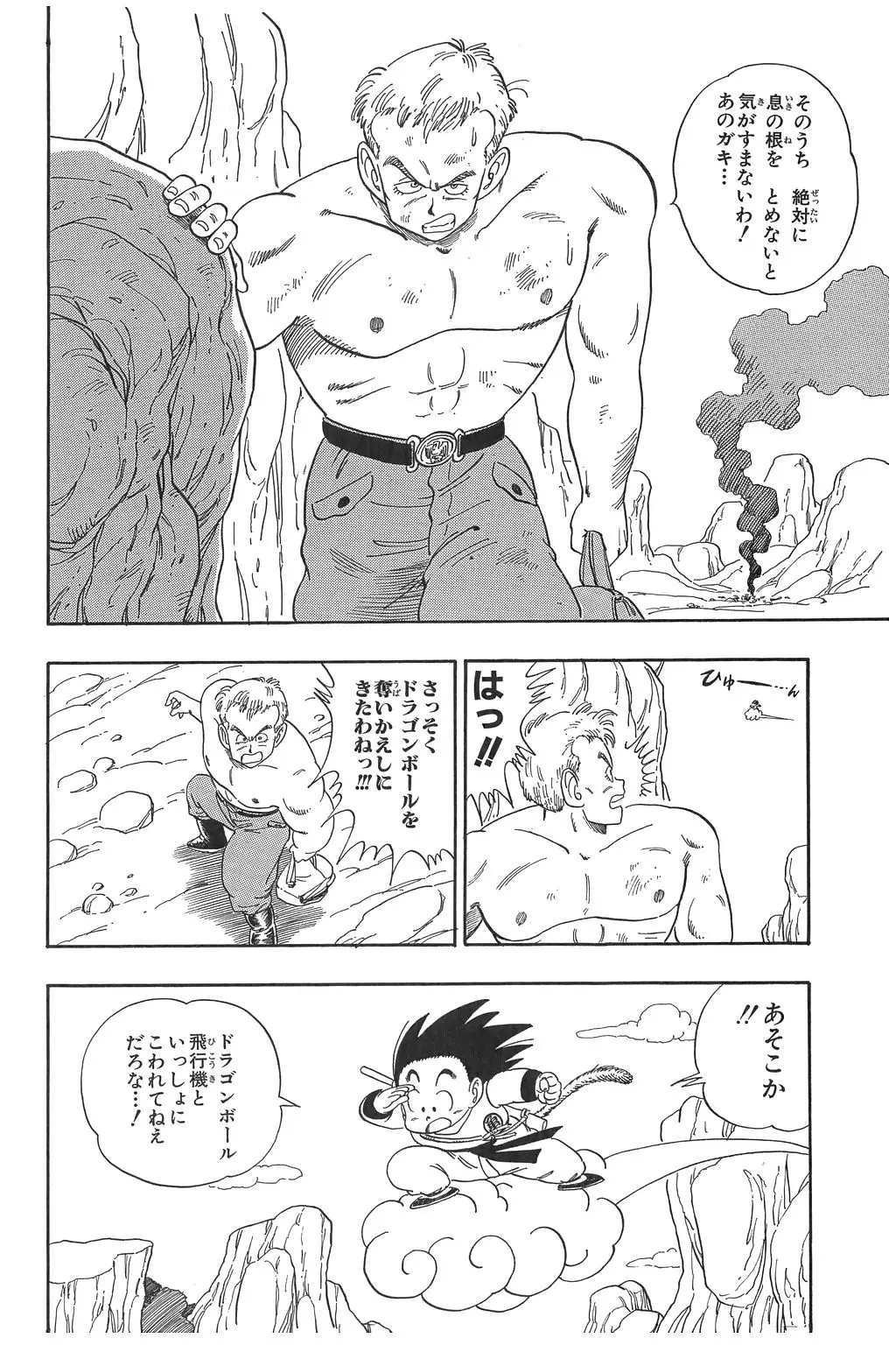 Chapitre 6 — Dragon Ball Kanzenban Vol. 6 — page 113