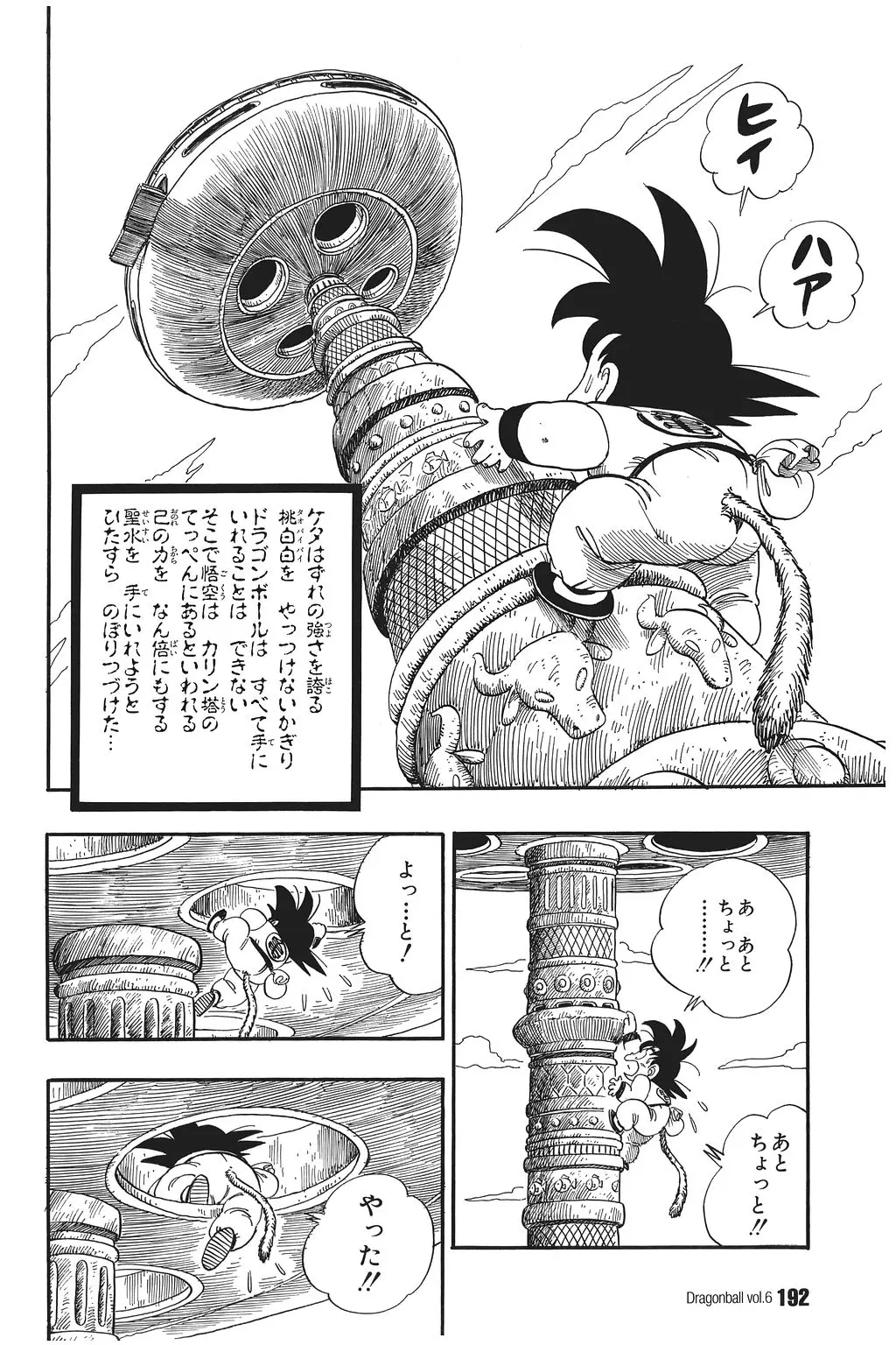 Chapitre 6 — Dragon Ball Kanzenban Vol. 6 — page 197