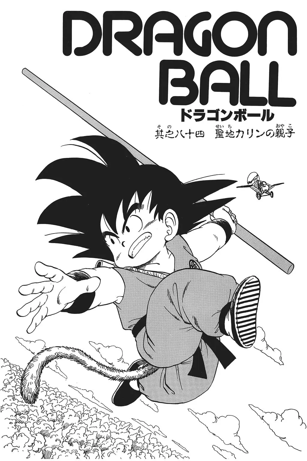 Chapitre 6 — Dragon Ball Kanzenban Vol. 6 — page 233