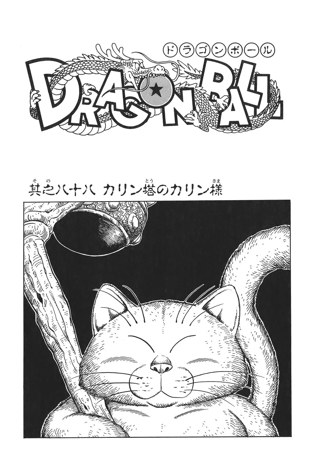Chapitre 6 — Dragon Ball Kanzenban Vol. 6 — page 237