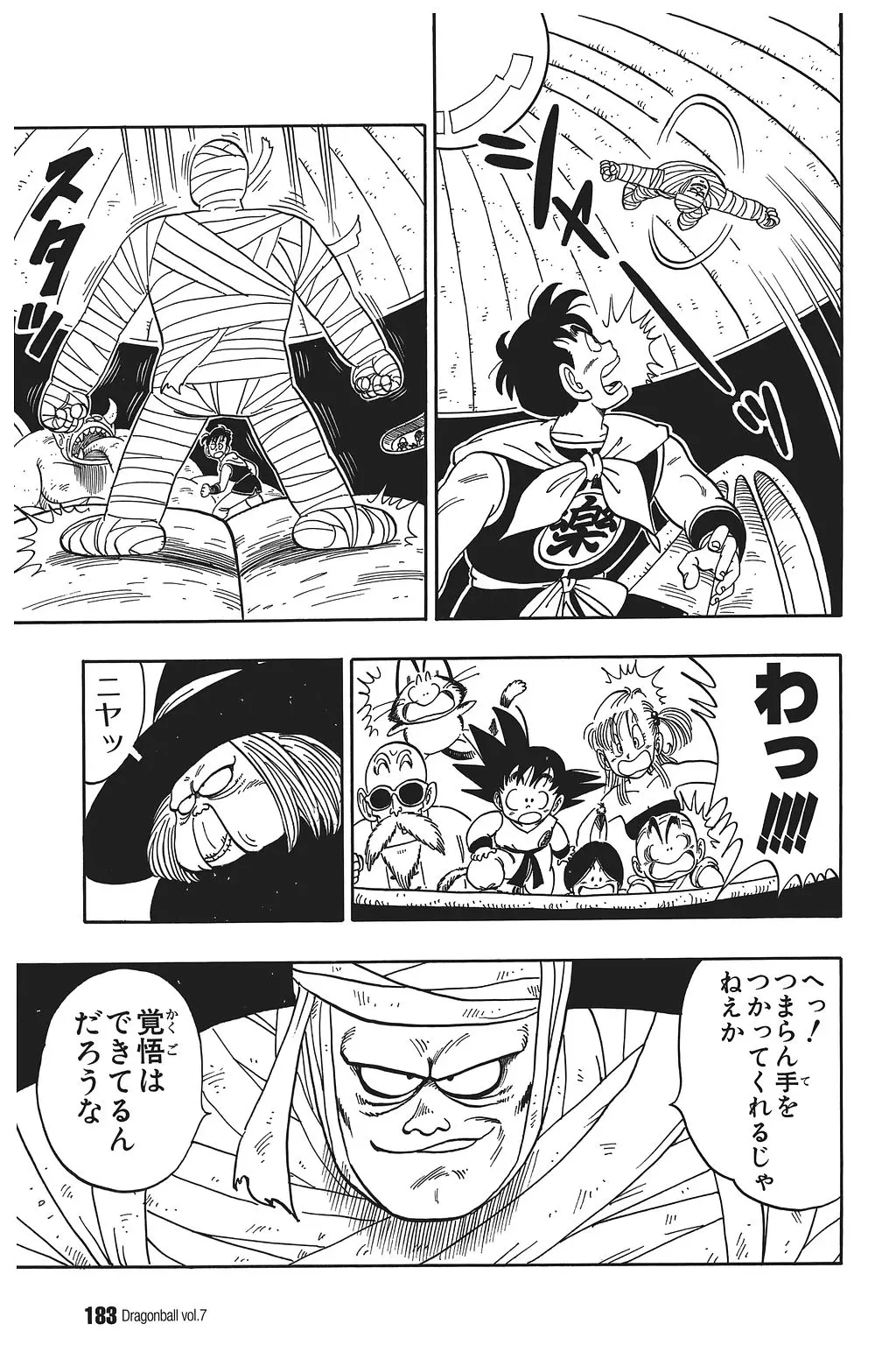 Chapitre 7 — Dragon Ball Kanzenban Vol. 7 — page 187