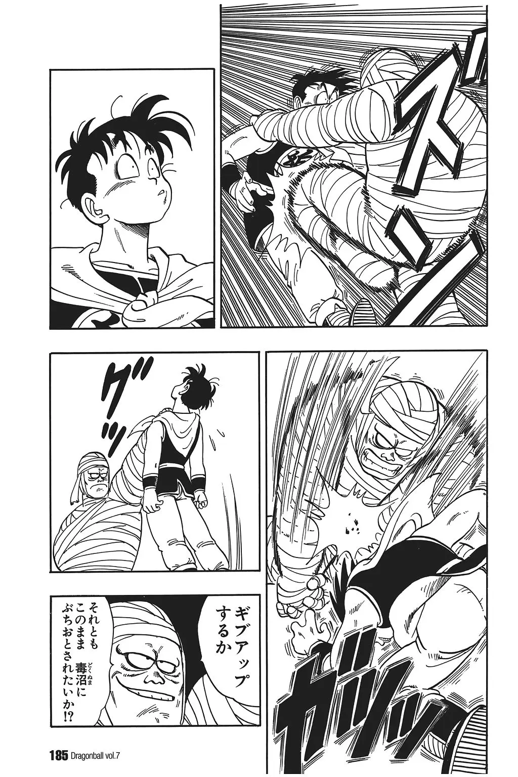 Chapitre 7 — Dragon Ball Kanzenban Vol. 7 — page 189