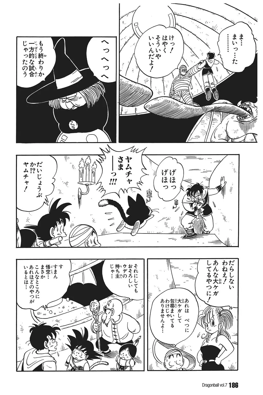 Chapitre 7 — Dragon Ball Kanzenban Vol. 7 — page 190