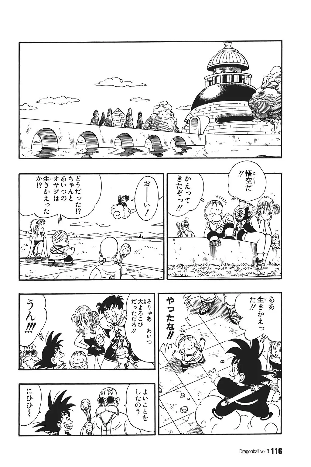 Chapitre 8 — Dragon Ball Kanzenban Vol. 8 — page 121