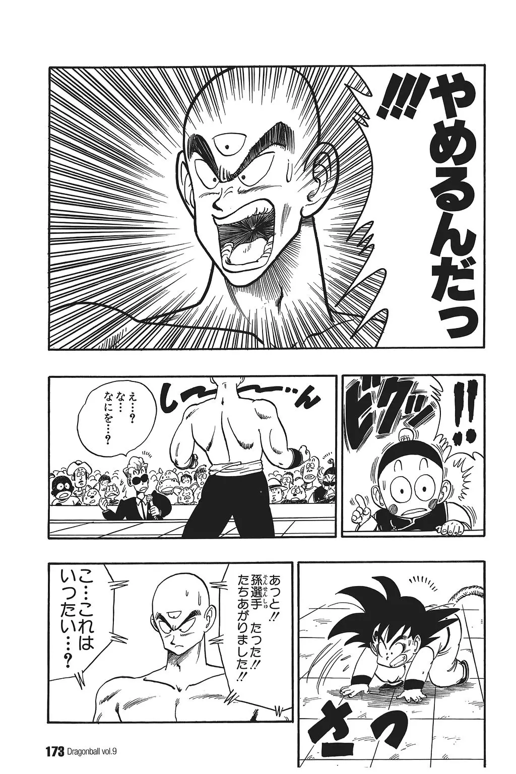 Chapitre 9 — Dragon Ball Kanzenban Vol. 9 — page 177