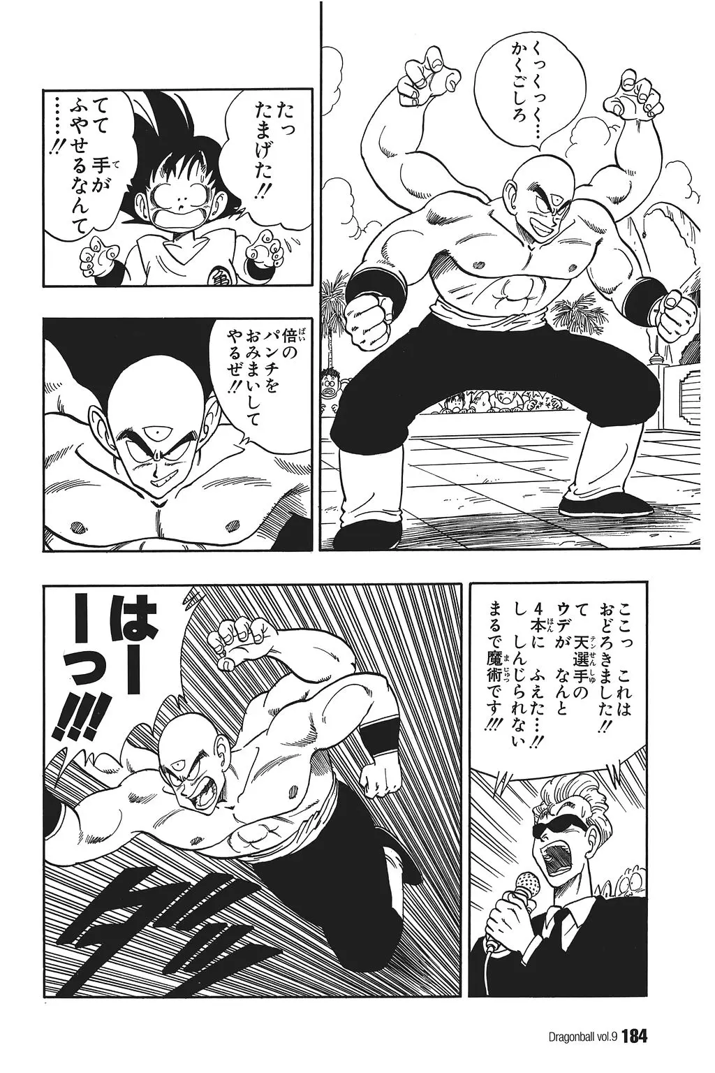 Chapitre 9 — Dragon Ball Kanzenban Vol. 9 — page 188