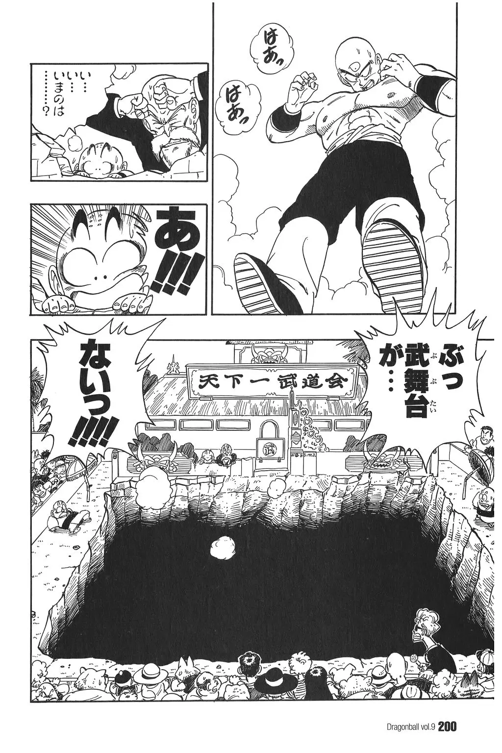 Chapitre 9 — Dragon Ball Kanzenban Vol. 9 — page 204