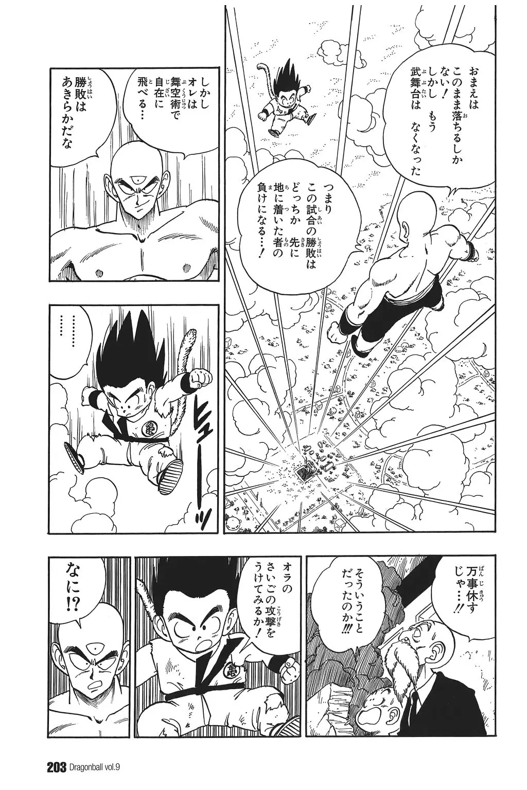 Chapitre 9 — Dragon Ball Kanzenban Vol. 9 — page 207