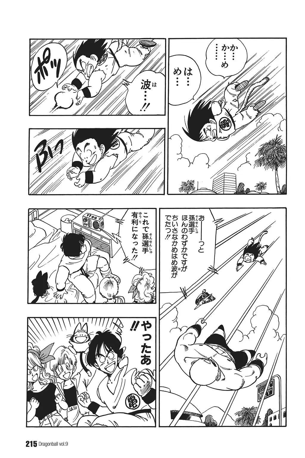 Chapitre 9 — Dragon Ball Kanzenban Vol. 9 — page 219