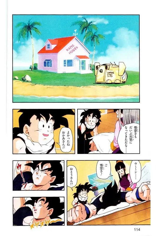 Chapitre 19 — Dragon Ball Z TV Anime Comics Vol. 19 — 人造人篇4 — page 113