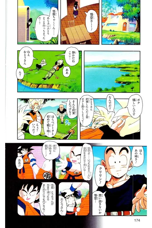Chapitre 22 — Dragon Ball Z TV Anime Comics Vol. 22 — 沙鲁游戏篇2 — page 173