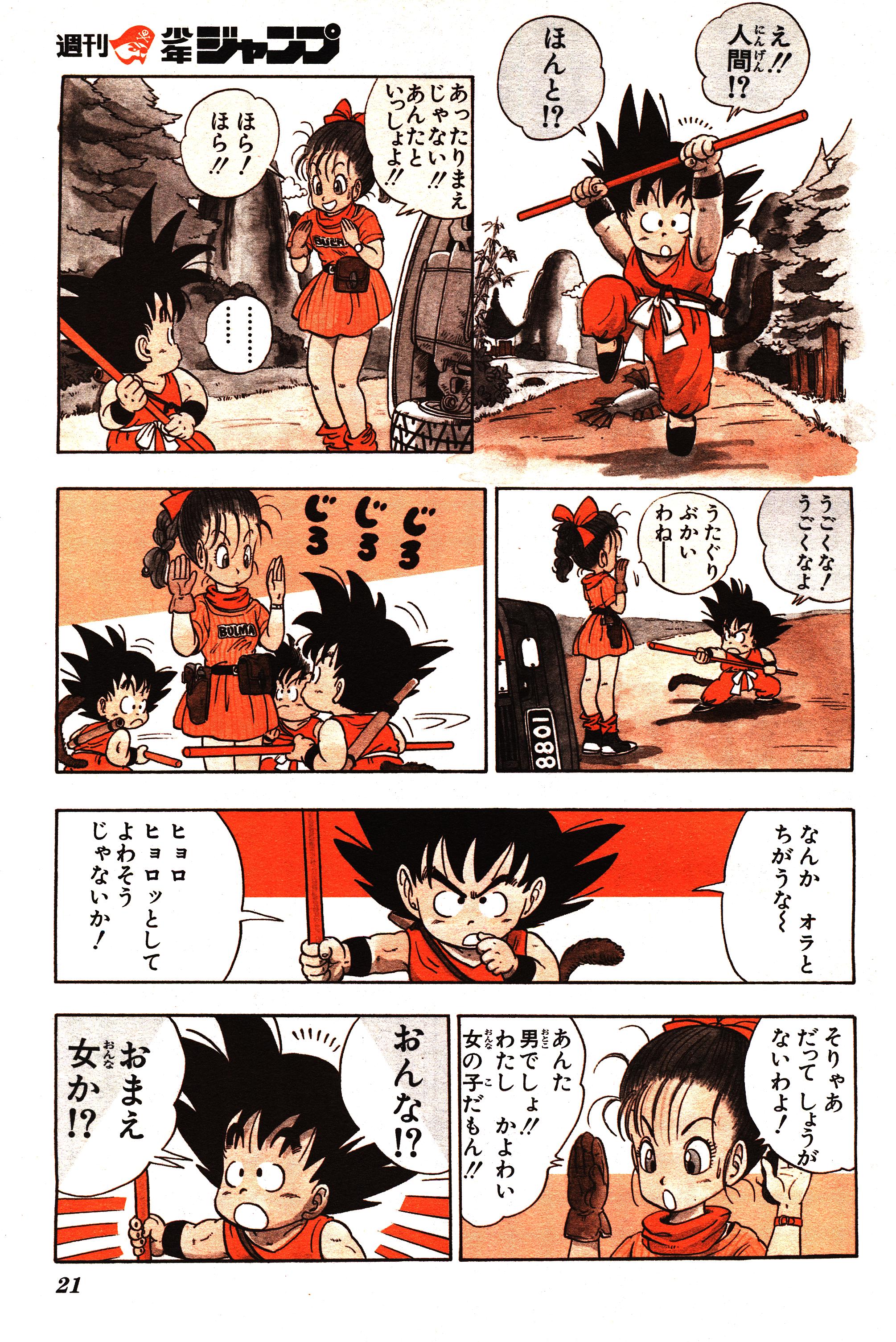 Chapitre 1 — Dragon Ball Sōshūhen Legend 1 — Quête des Dragon Balls — page 15