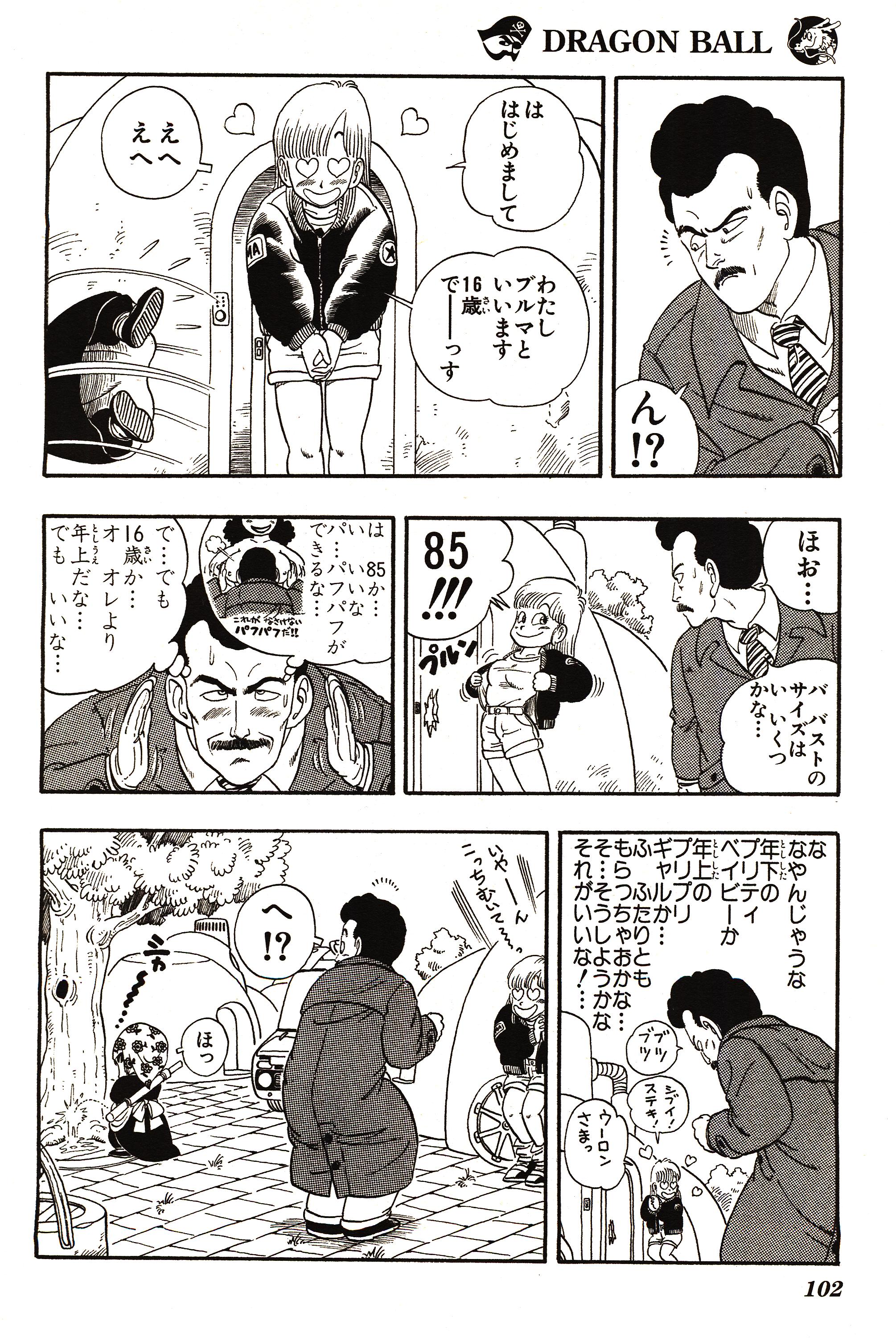 Chapitre 1 — Dragon Ball Sōshūhen Legend 1 — Quête des Dragon Balls — page 96